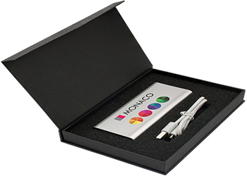 Powerbank PW-101